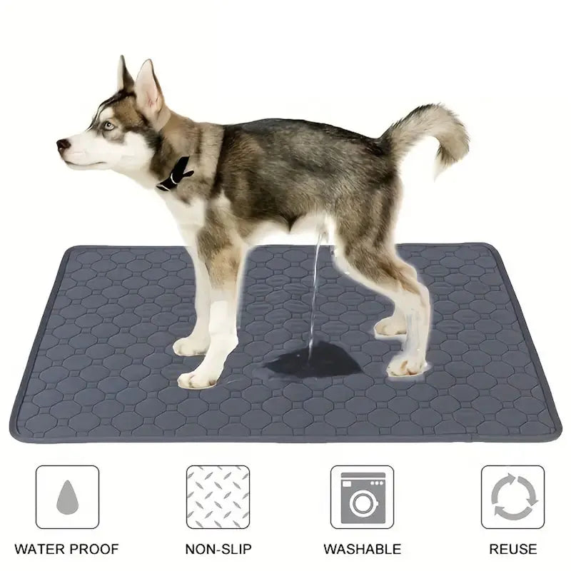 The Ultimate Doggy Diaper: Reusable Waterproof Pee Pad for Pooch Mishaps!