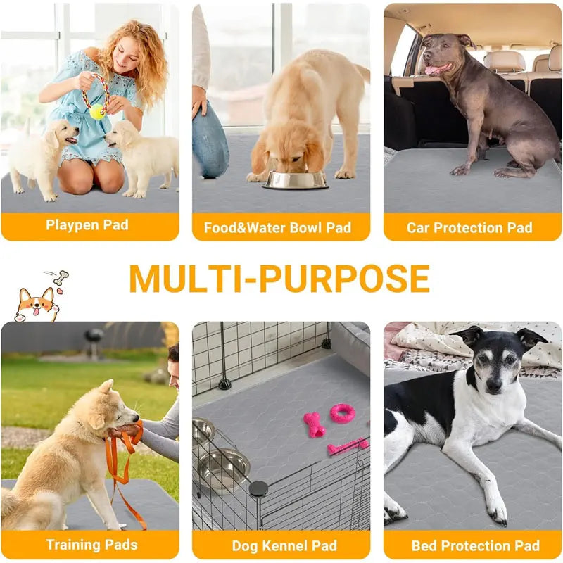 The Ultimate Doggy Diaper: Reusable Waterproof Pee Pad for Pooch Mishaps!