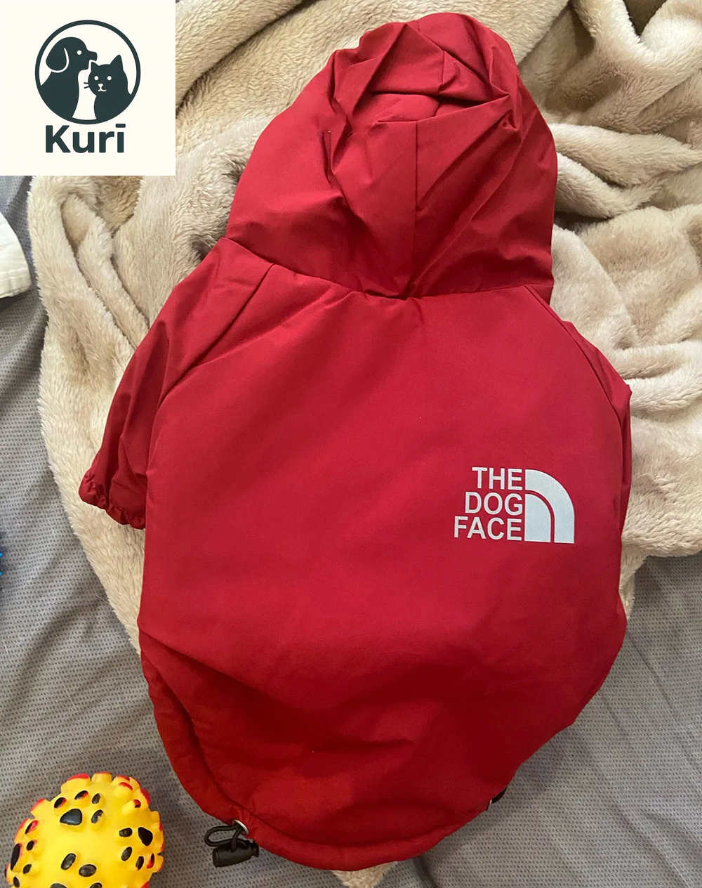 Autumn Winter Pet Dog Waterproof Warm Coat Cotton Hooded Jacket the Dog Face Small Dogs Cat Reflective Pet Clothes Winter Coat