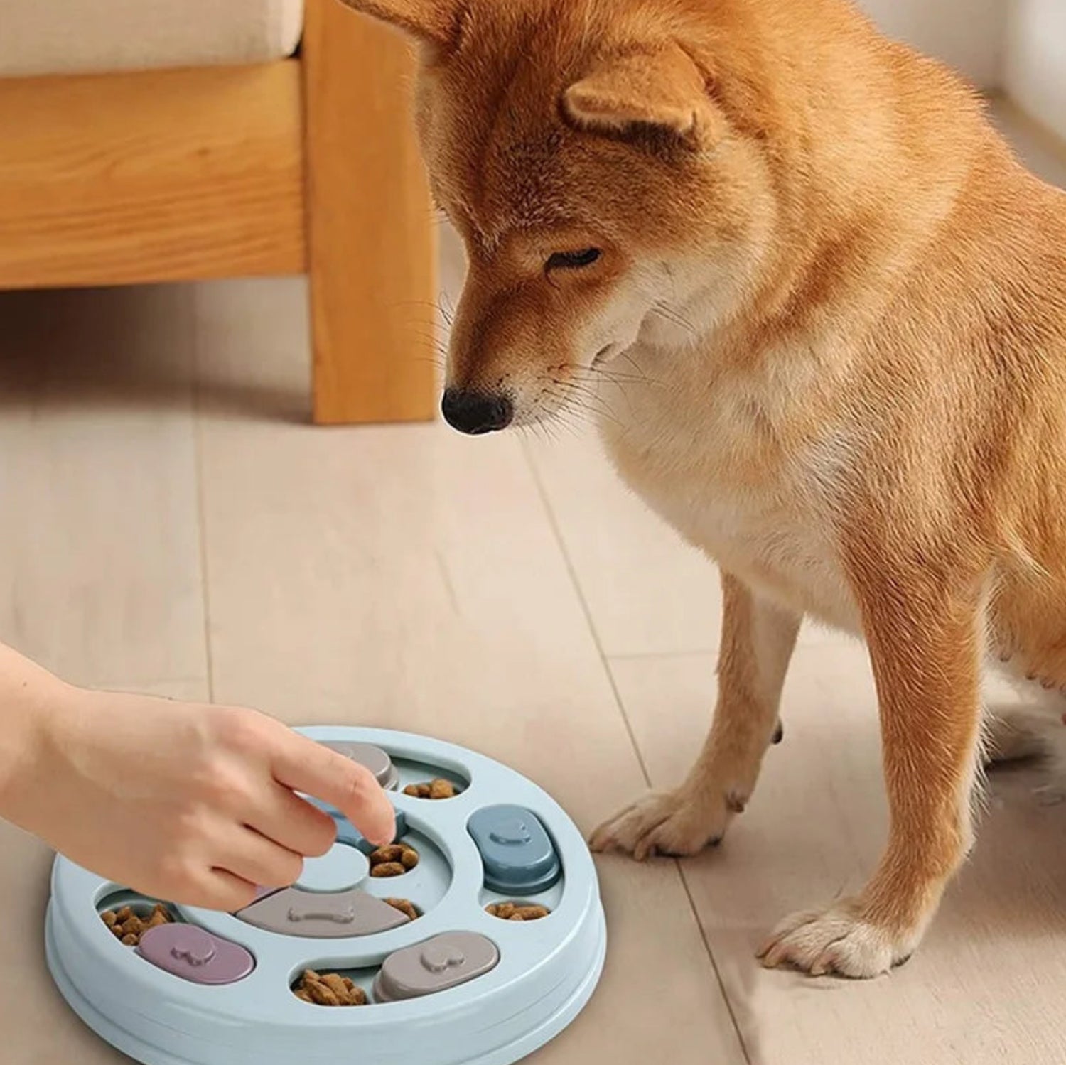 Food bowls & eating mats