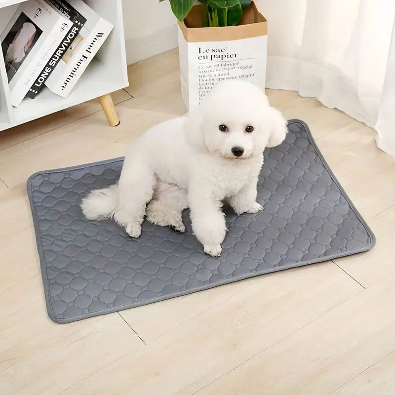 Grooming & Care