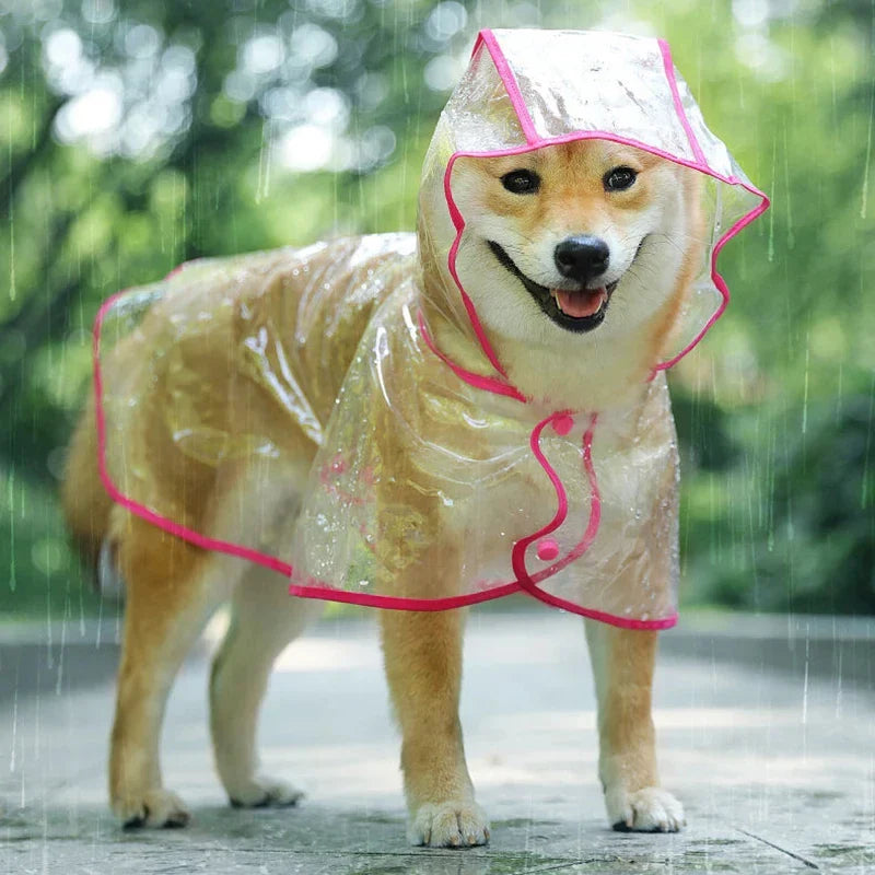 Pet apparel