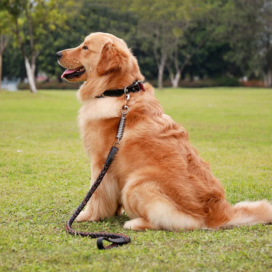 Pet Leather Dog Collar Leash for Large Dog Leather Dog Traction Drag Tow Rope Chain Pet Dog Supplies Accessories Prevent Runaway