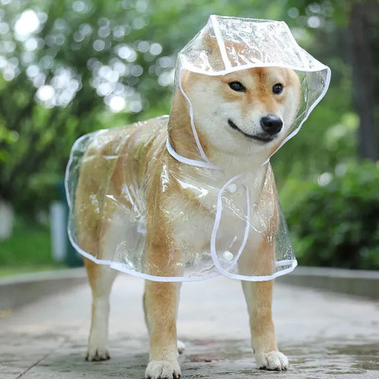 The Poodle's Perfect Rain Jacket: Transparent Hooded Raincoat for Dapper Dogs!