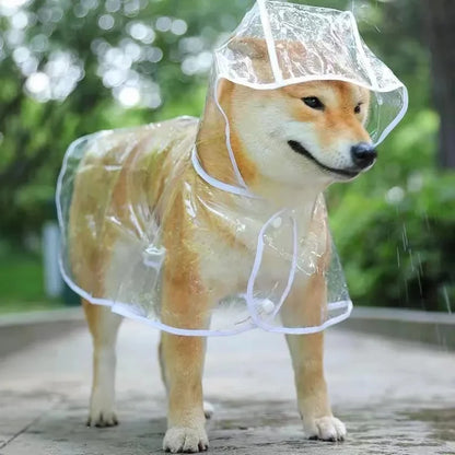 The Poodle's Perfect Rain Jacket: Transparent Hooded Raincoat for Dapper Dogs!