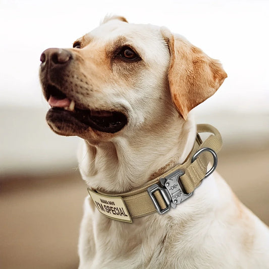 Ultimate Heavy Duty Tactical Dog Collar with Control Handle for Training and Outdoor Adventures