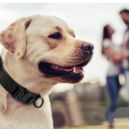 Premium Heavy-Duty Military Tactical Dog Collar and Leash Set - Adjustable and Durable for All Breeds