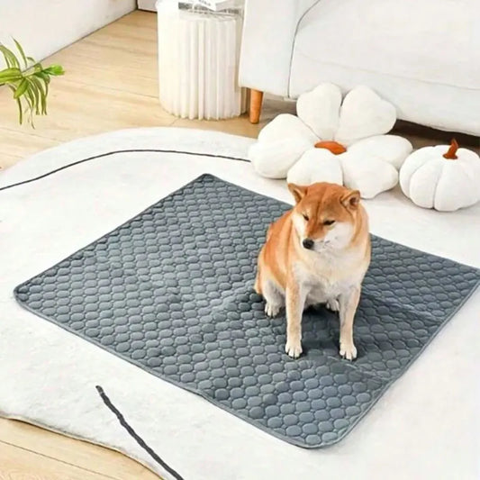 The Ultimate Doggy Diaper: Reusable Waterproof Pee Pad for Pooch Mishaps!