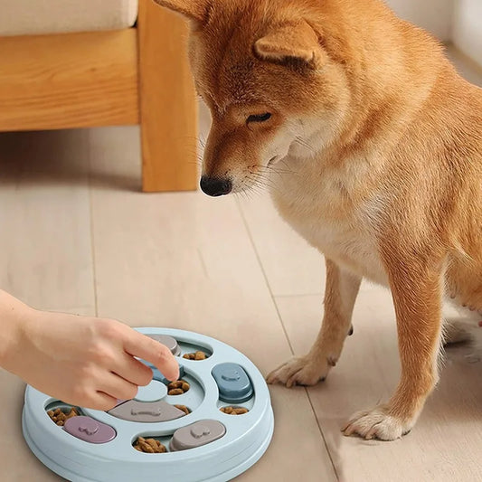 Feeding Fido in Disguise: The Ultimate Dog Food Hiding Bowl