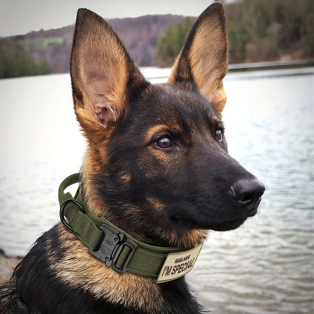 Ultimate Heavy Duty Tactical Dog Collar with Control Handle for Training and Outdoor Adventures