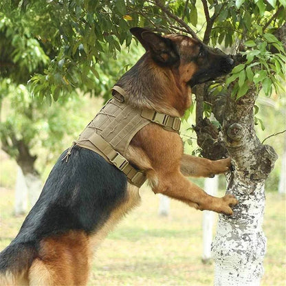 Ultimate Tactical Dog Harness for Adventure and Training