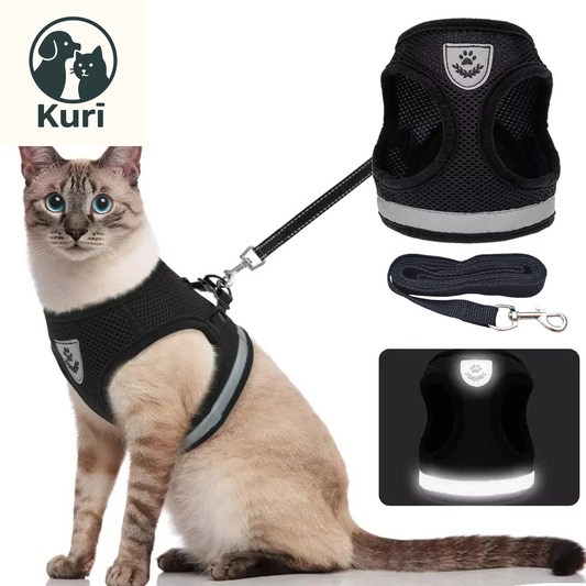 Breathable and Adjustable Cat Harness and Leash Set - Escape Proof Vest for Kittens, Puppies, and Small Dogs with Reflective Features