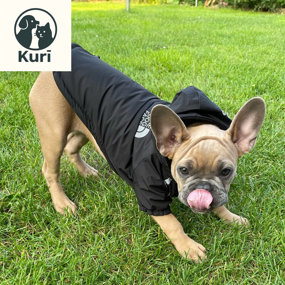 Autumn Winter Pet Dog Waterproof Warm Coat Cotton Hooded Jacket the Dog Face Small Dogs Cat Reflective Pet Clothes Winter Coat