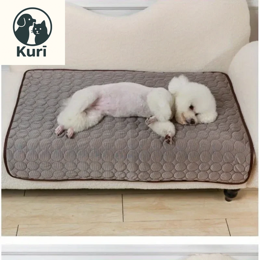 Premium Pet Self Cooling Mat - Ice Silk Cooling Pad for Dogs and Cats, Perfect for Beds, Kennels, Couches, and Floors