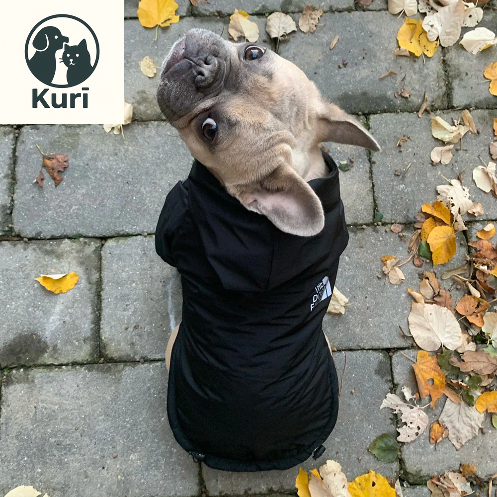 Autumn Winter Pet Dog Waterproof Warm Coat Cotton Hooded Jacket the Dog Face Small Dogs Cat Reflective Pet Clothes Winter Coat